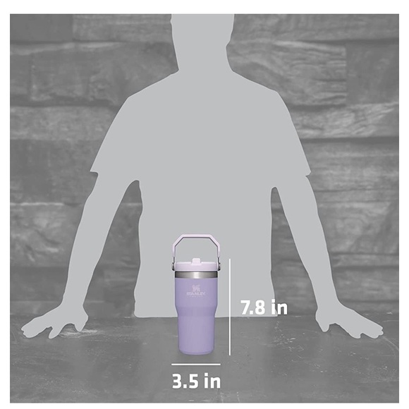 New 20oz Stanley IceFlow Stainless Steel Tumbler with Straw - Lavender NWT - Picture 4 of 6